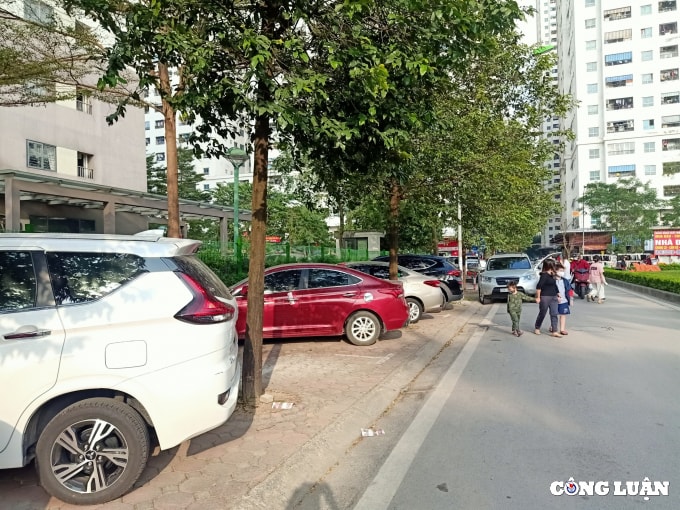 hoang mai ha noi cong ty ngan gia bao chiem dung via he to chuc trong xe o to trai phep hinh 2