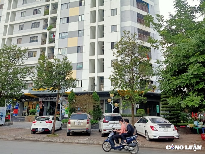 hoang mai ha noi cong ty ngan gia bao chiem dung via he to chuc trong xe o to trai phep hinh 7