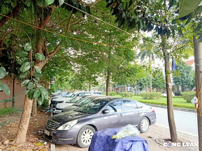 hoang mai ha noi cong ty ngan gia bao chiem dung via he to chuc trong xe o to trai phep hinh 8