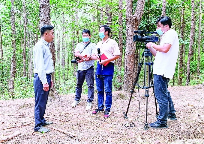 hoi vien nha bao gia lai nhung thu ky trong phong chong dich covid 19 hinh 3