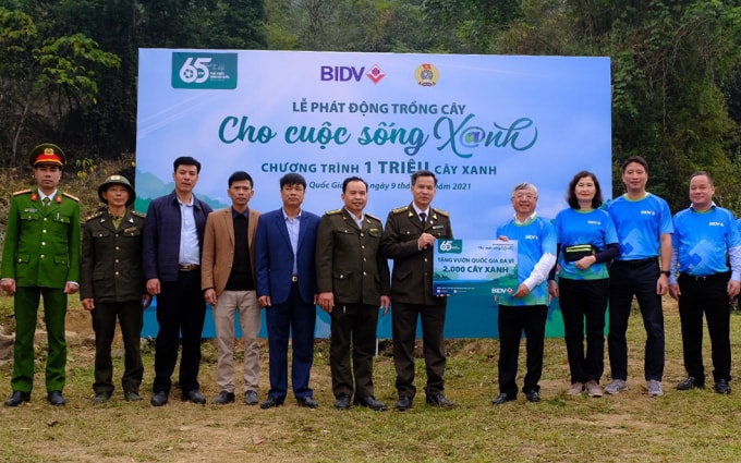 bidv khoi dong chuong trinh trong 1 trieu cay xanh hinh 1