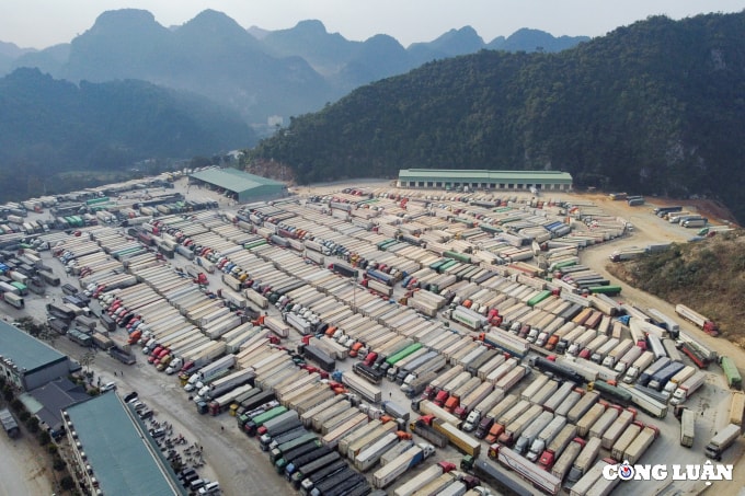 un u 4100 container hang hoa nong san 10 nam van giam phai vet xe do hinh 1