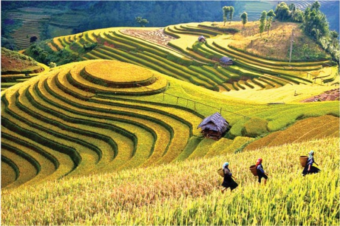 yen bai co cau nong nghiep gan voi xay dung nong thon moi hinh 2