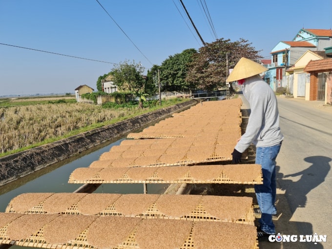 ghe tham lang banh da thieu chau hinh 3