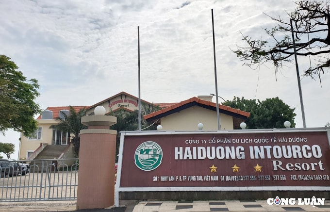 nhung ong lon nao dang chia phan 28 ha dat vang bai bien thuy van tai ba ria  vung tau hinh 14