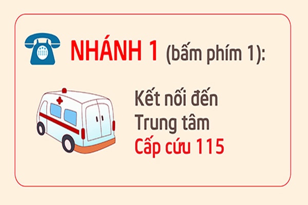 ha noi cong bo mo rong tong dai dien thoai 1022 phuc vu dieu tri f0 tai nha hinh 2