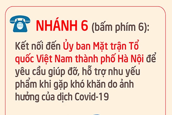 ha noi cong bo mo rong tong dai dien thoai 1022 phuc vu dieu tri f0 tai nha hinh 7