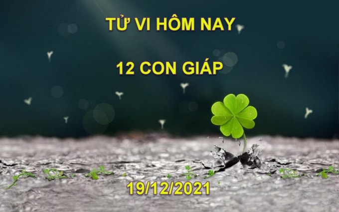 tu vi hom nay 19 12 2021 chu nhat ngay 16 11 am lich cua 12 con giap hinh 1