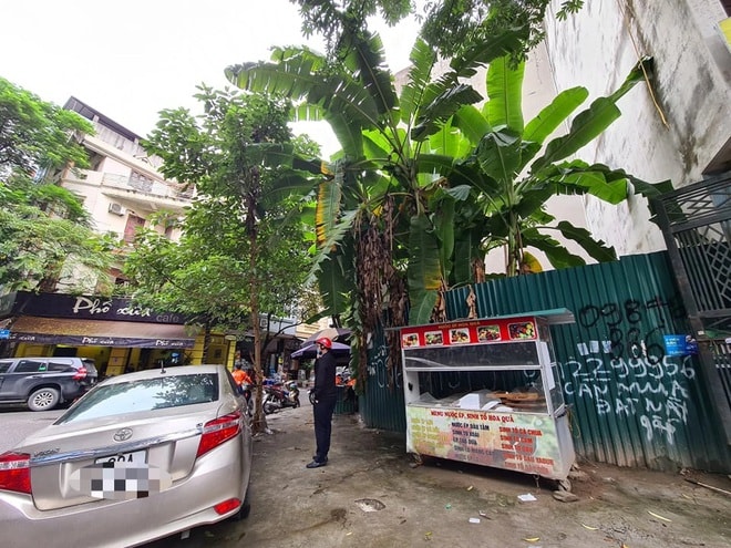 hon loan sau dau gia dat can co che tai de ran de xu ly tinh trang thoi gia bo coc hinh 2