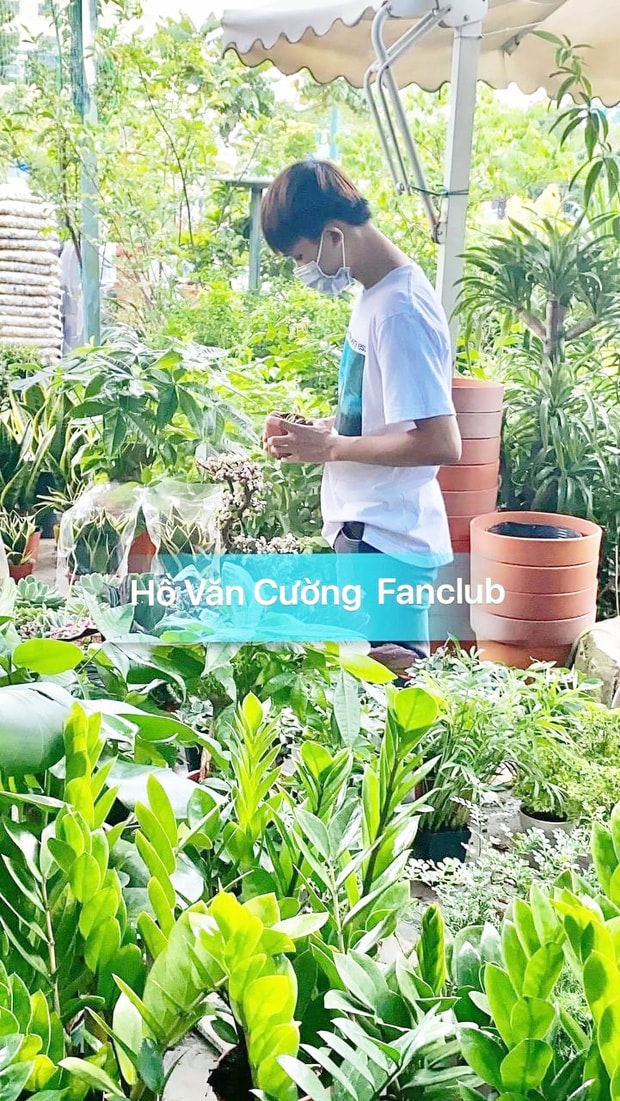 ho van cuong tieu tuy va gay go sau thoi gian dai o an hinh 1