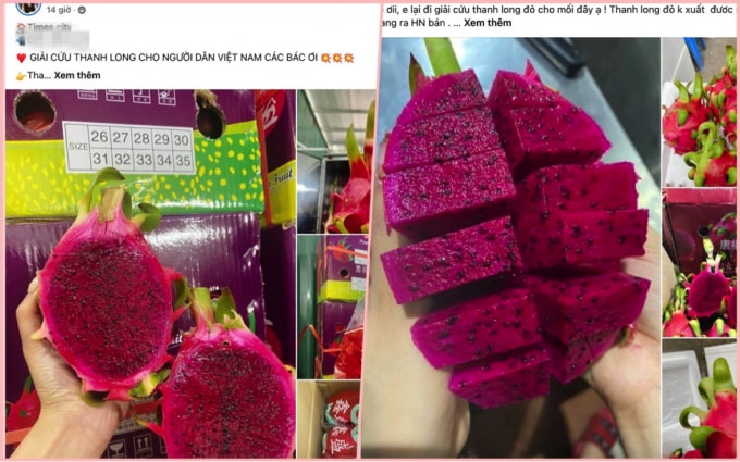 tac bien trien mien hoa qua nhap khau trung quoc loan gia can than mua hang om kho hinh 1