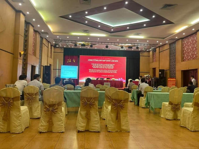 thanh hoa cam mot doanh nghiep tham gia hoat dong dau thau hinh 1
