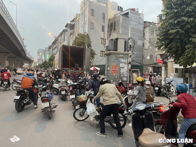 nong san cho giai cuu nam la liet tren via he ha noi cua dau con xot hinh 4