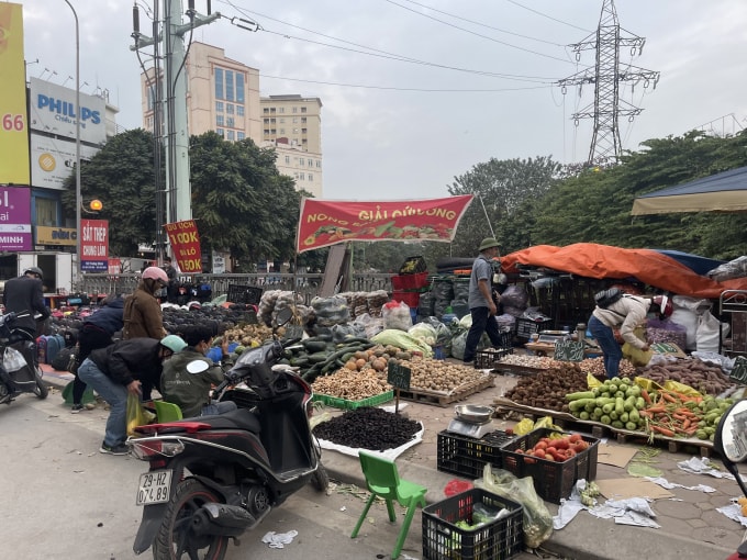 nong san cho giai cuu nam la liet tren via he ha noi cua dau con xot hinh 10