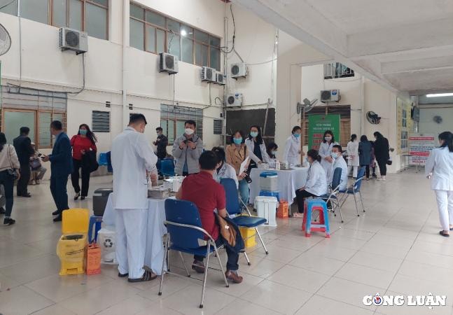 quang ninh dung cac hoat dong tap trung dong nguoi trong dip tet nguyen dan hinh 1