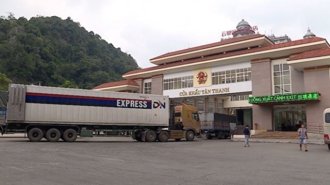 da dang hoa thi truong giam dan su phu thuoc vao hinh thuc xuat khau tieu ngach hinh 1