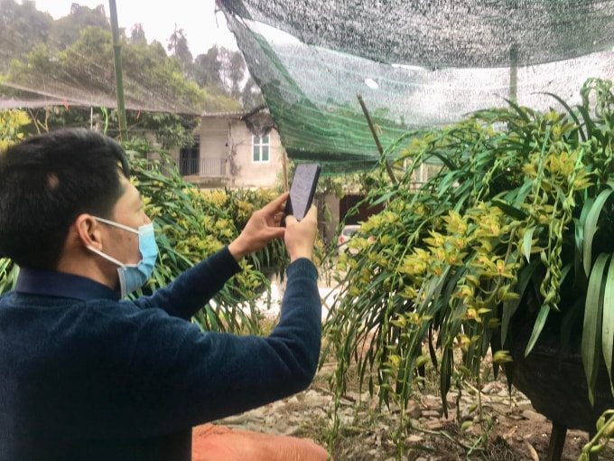 doc dao cho hoa tet dia lan sa pa hinh 5