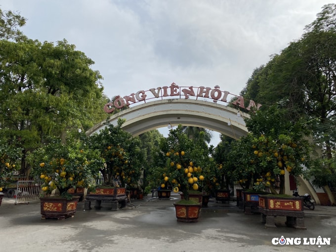 thanh hoa nhung chuyen cay canh tet dau tien ve pho hinh 1