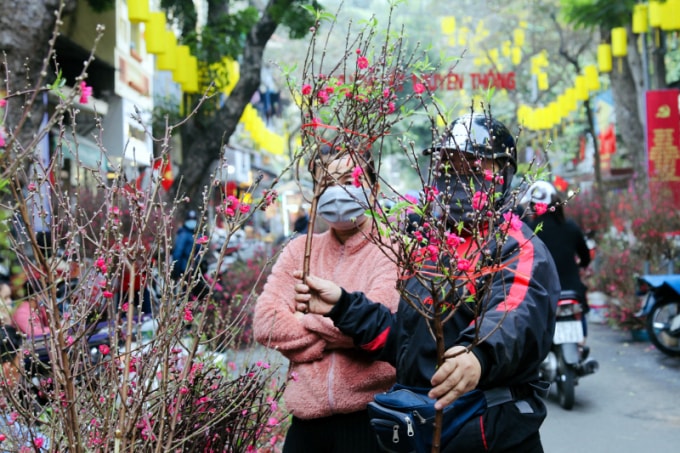 ha noi to chuc 78 diem cho hoa xuan dip tet 2022 hinh 1