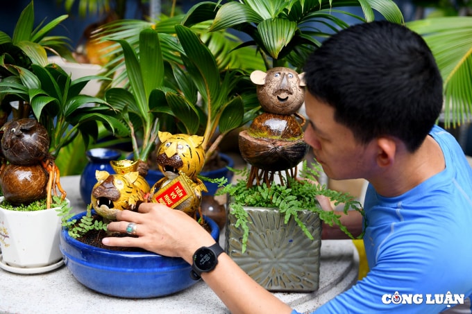 bonsai dua tao hinh ho gia tien trieu dong van chay hang dip tet hinh 1