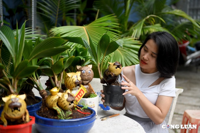 bonsai dua tao hinh ho gia tien trieu dong van chay hang dip tet hinh 12