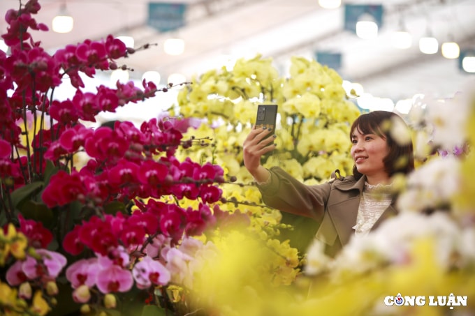 ha noi cam hoa lan ho diep kiem hon 3 trieu moi ngay trong dip tet hinh 11