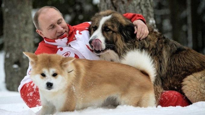 vladimir putin tong thong cua hanh dong hinh 3