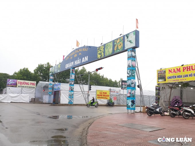 hai phong to chuc 18 diem cho hoa xuan nam 2022 hinh 1