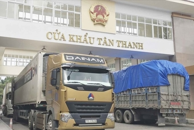 chuyen gia kinh te kiem soat thi truong nong san hieu qua minh bach de phat trien xuat khau ben vung hinh 1