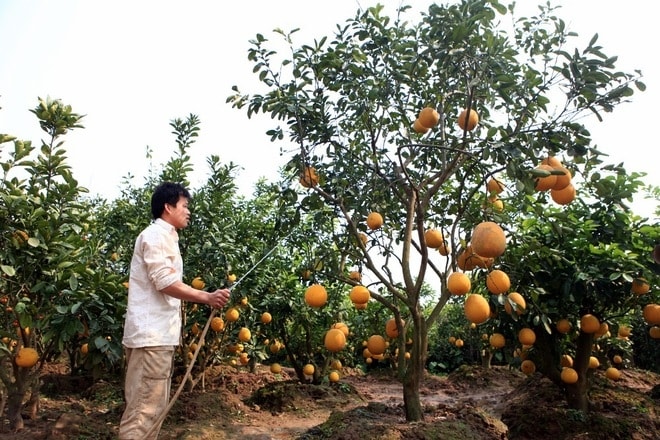10 lang nghe o ha noi nghe ten la thay tet ve hinh 7