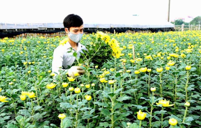 10 lang nghe o ha noi nghe ten la thay tet ve hinh 2