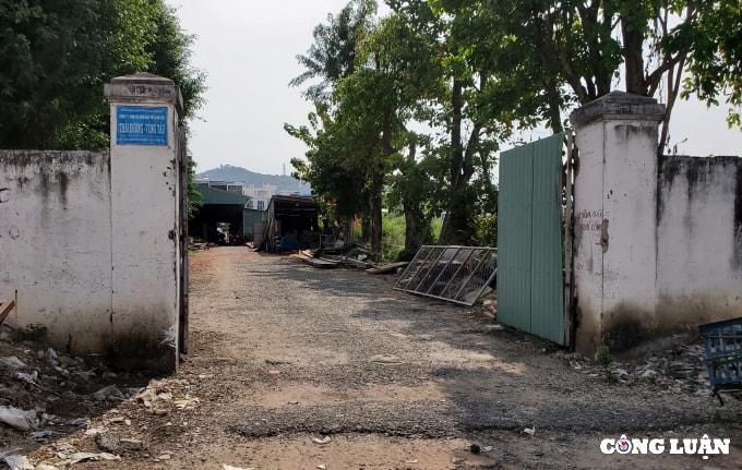gan 13000 m2 dat vang thanh pho vung tau bo hoang 16 nam vi du an treo hinh 7