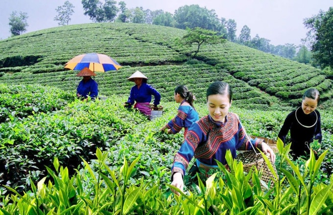 xu ly kien nghi cua cac dia phuong lien quan den chuong trinh muc tieu quoc gia ve giam ngheo ben vung hinh 1