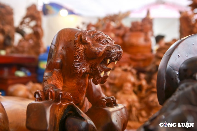 doc dao ho go gia hon 100 trieu dong tai hoi cho hoa xuan 2022 hinh 6