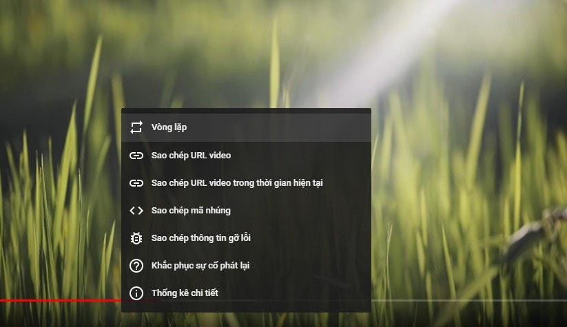 9 tinh nang hay cua youtube co the ban chua biet hinh 3