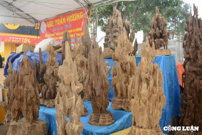phong phu cac mat hang tai hoi cho san pham ocop va dac san ha tinh hinh 6