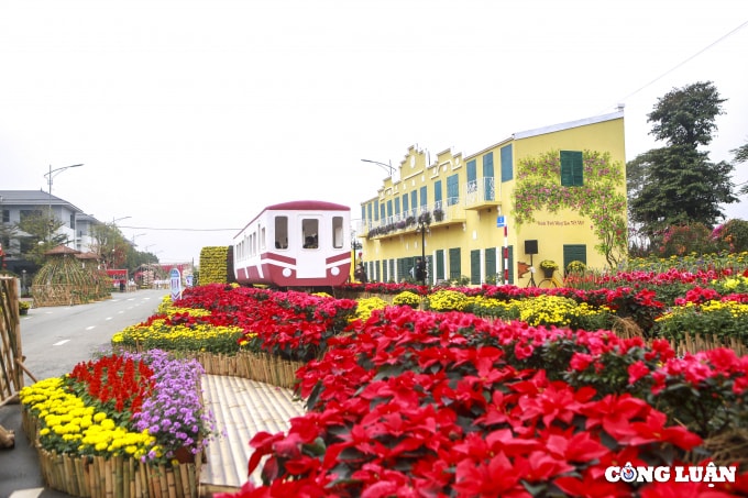 ha noi an tuong duong hoa xuan hanh trinh vang son tet viet hinh 11