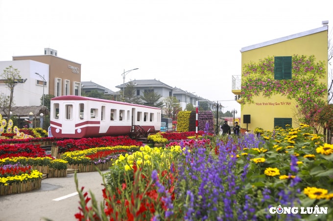 ha noi an tuong duong hoa xuan hanh trinh vang son tet viet hinh 2