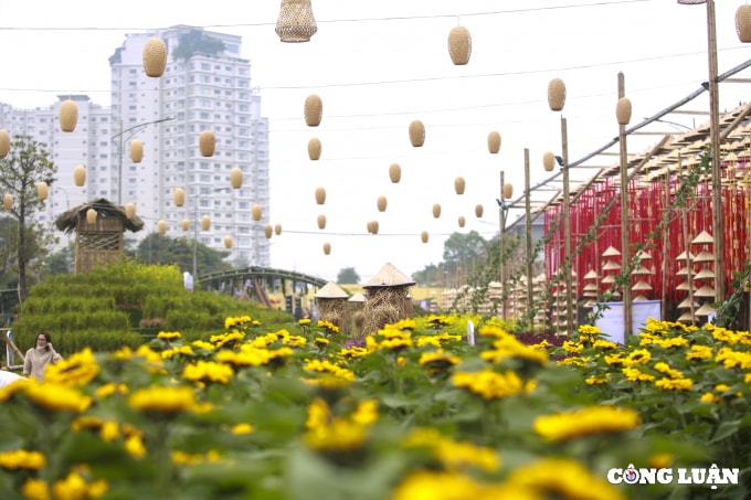 ha noi an tuong duong hoa xuan hanh trinh vang son tet viet hinh 7