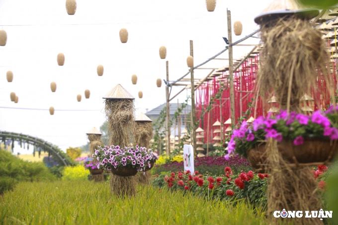 ha noi an tuong duong hoa xuan hanh trinh vang son tet viet hinh 8