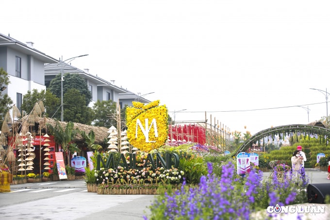 ha noi an tuong duong hoa xuan hanh trinh vang son tet viet hinh 6