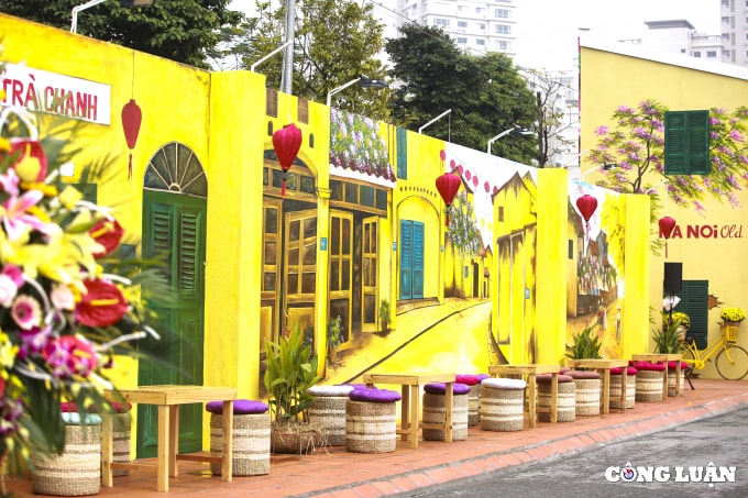 ha noi an tuong duong hoa xuan hanh trinh vang son tet viet hinh 5