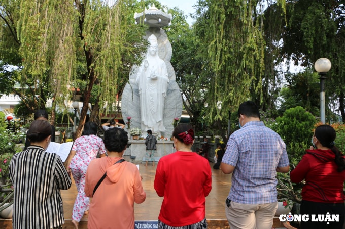ron rang tha ca phong sanh tien ong cong ong tao ve troi hinh 1