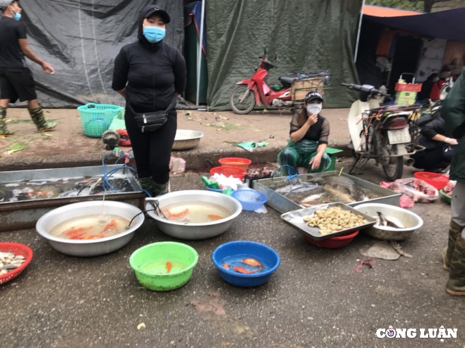 thi truong do cung tao quan nhon nhip ngay chinh le hinh 4