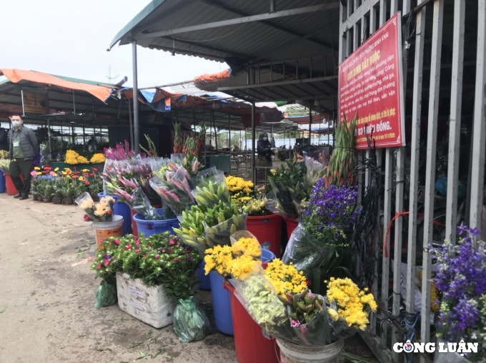 thi truong do cung tao quan nhon nhip ngay chinh le hinh 2