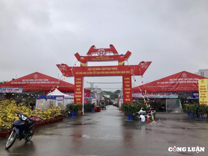 dao rung xuong pho sale sap san van vang khach mua hinh 5