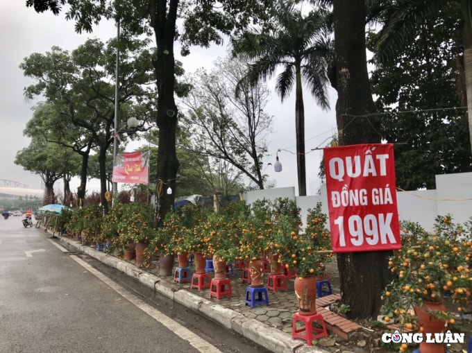 dao rung xuong pho sale sap san van vang khach mua hinh 7