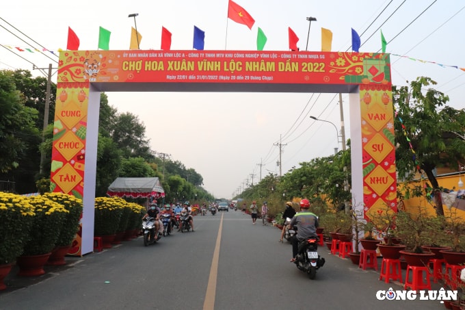 cho hoa xuan vinh loc lon nhat vung ngoai thanh tp hcm bat dau nhon nhip hinh 1