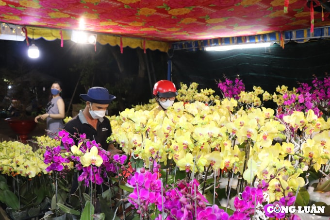 cho hoa xuan vinh loc lon nhat vung ngoai thanh tp hcm bat dau nhon nhip hinh 3