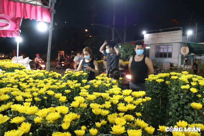 cho hoa xuan vinh loc lon nhat vung ngoai thanh tp hcm bat dau nhon nhip hinh 4
